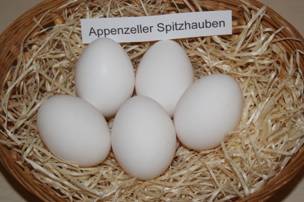 Eier der Appenzeller Spitzhauben in einem Korb