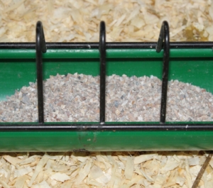 Muschelkalk für Hühner