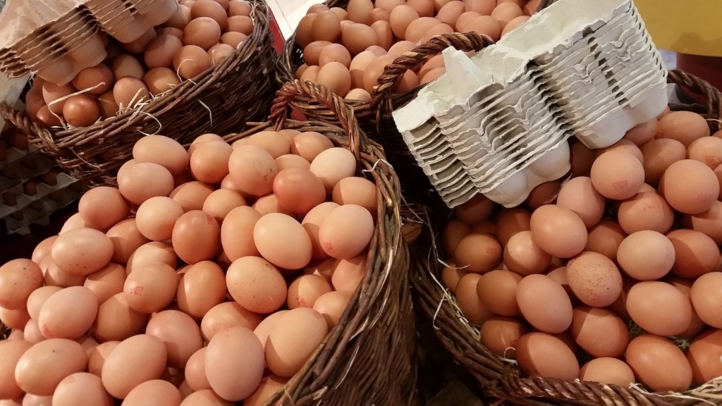 Hühner legen keine Eier im Winter - Hühnereier aufbewahren