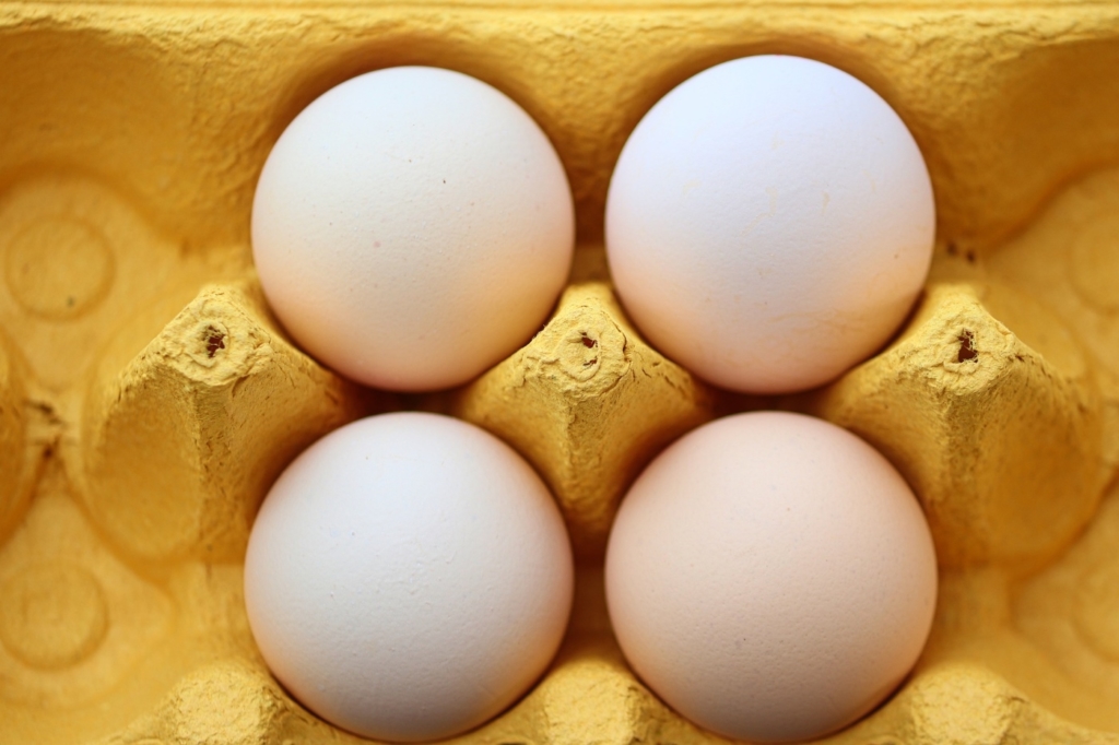 Eier im Kühlschrank - Wenn Hühner keine Eier legen